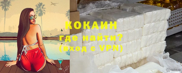 прущие грибы Вяземский