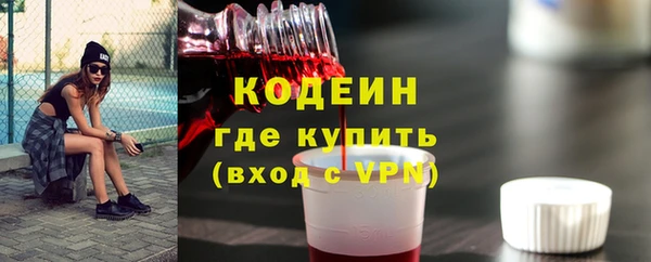 прущие грибы Вяземский