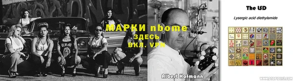 прущие грибы Вяземский