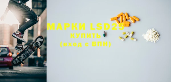 прущие грибы Вяземский