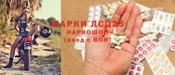 прущие грибы Вяземский