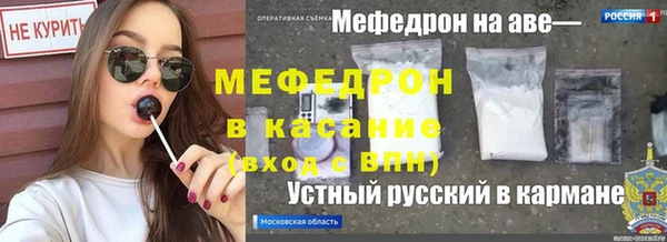 прущие грибы Вяземский