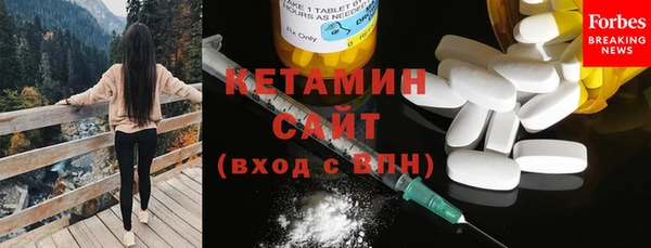 прущие грибы Вяземский